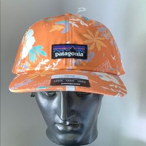 Patagonia Trad Cap